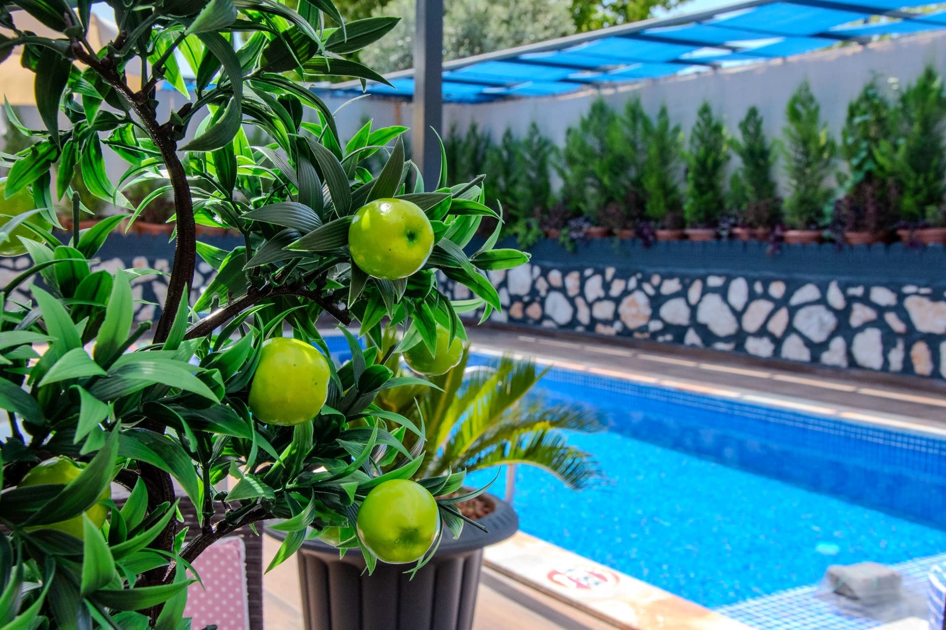 Villa Egemen Çavdır Çavdır 43